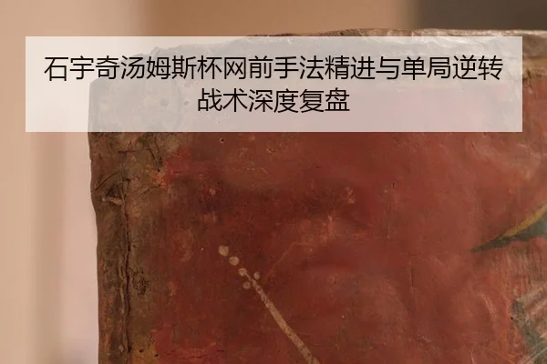石宇奇汤姆斯杯网前手法精进与单局逆转战术深度复盘