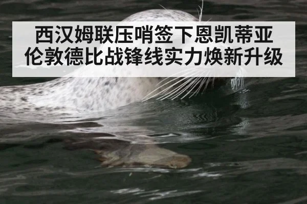 西汉姆联压哨签下恩凯蒂亚 伦敦德比战锋线实力焕新升级