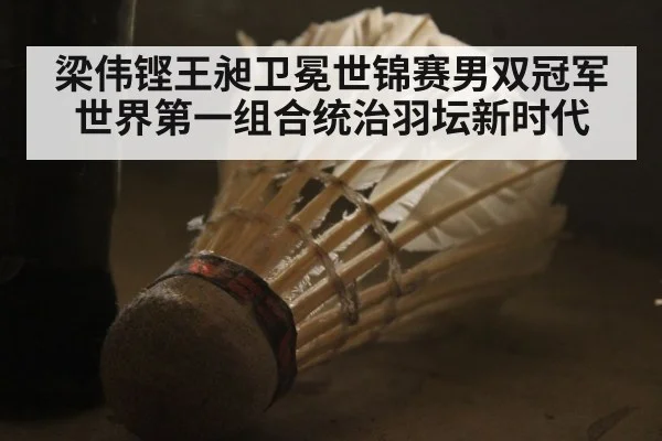 梁伟铿王昶卫冕世锦赛男双冠军世界第一组合统治羽坛新时代